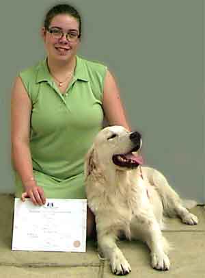 Au Pair Dog Carer Golden Retriever Timothy with Camilla after passing his KCGCT