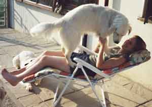 Dog Carer Au Pairs Golden Retriever sharing Marie's sun bed