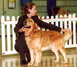 DOG HANDLING INCLUDING JUNIOR HANDLING AND JUNIOR SHOWMANSHIP AND THE ...