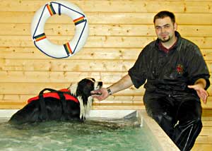 Border Collie Hercules leaving the pool and happy to see his instructor