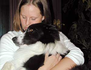 Border Collie and Golden Retriever Advice  bathing a dog