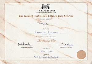 kennel club good citizens award