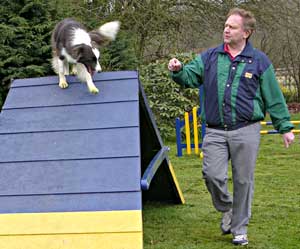 Dog Agility