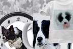 border collie products to buy on line, mousemats, sweatshirts, t-shirts, mugs, glasses, greeting cards, calendars, hats and caps, posters, picture frames, stickers, clocks