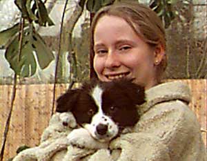 Border Collies and Golden Retrievers dog breeding