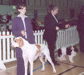 ukdha2001031pointer