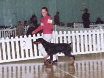 ukdha2001052dobe