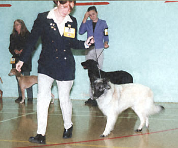 ukdha2001055bsd