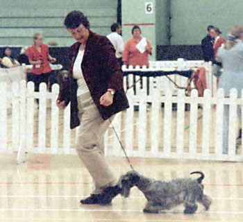 ukdha2001057chesky