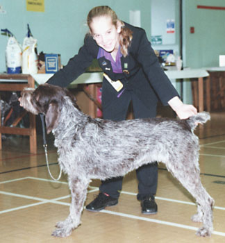 ukdha2001064gsp